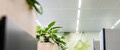 header gezondheidszorg